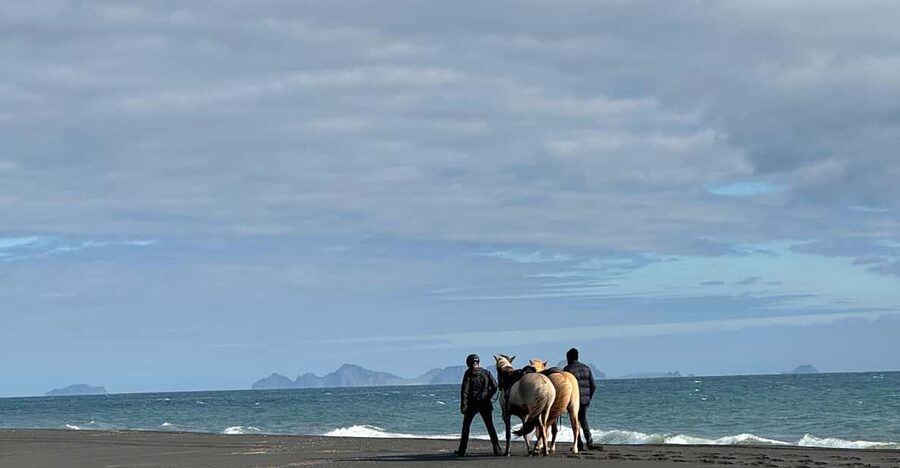southern Iceland: Black beach riding tour - Meeting the horses and finding your pace