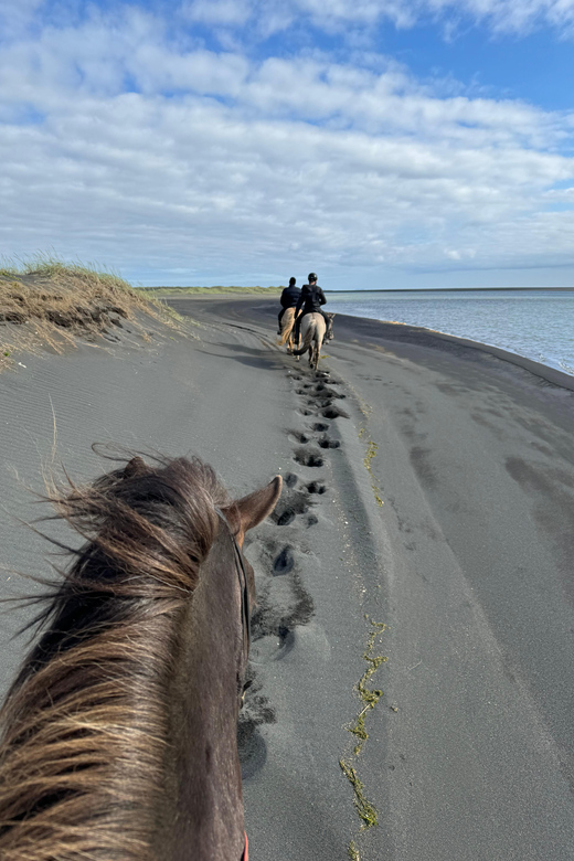 southern Iceland: Black beach riding tour - The tölt and what to expect in the saddle
