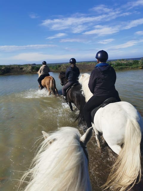 southern Iceland: Black beach riding tour - Why the small group matters