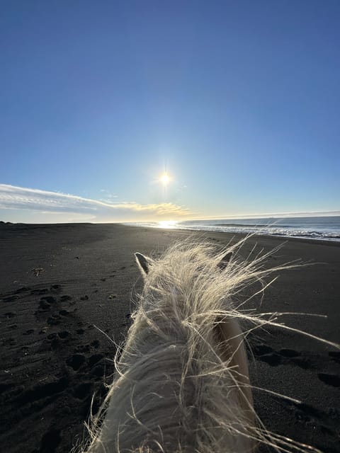southern Iceland: Black beach riding tour - Arriving at Grímsstaðir from the South Coast