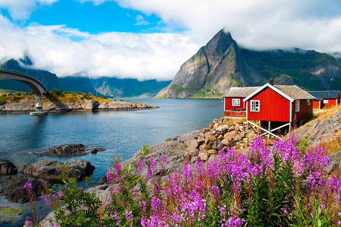 Special Summer Cruise Bus Tour of Lofoten - The bus, guide, and timing shape the experience