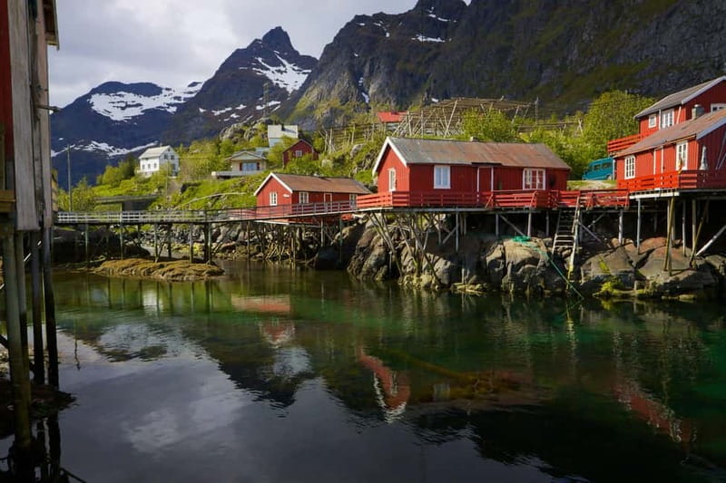 Special Summer Cruise Guided Tour of Lofoten - Key points to know before booking