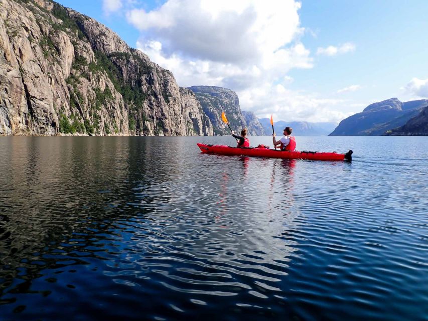 Stavanger: Guided Kayaking in Lysefjord - Wildlife, especially seals