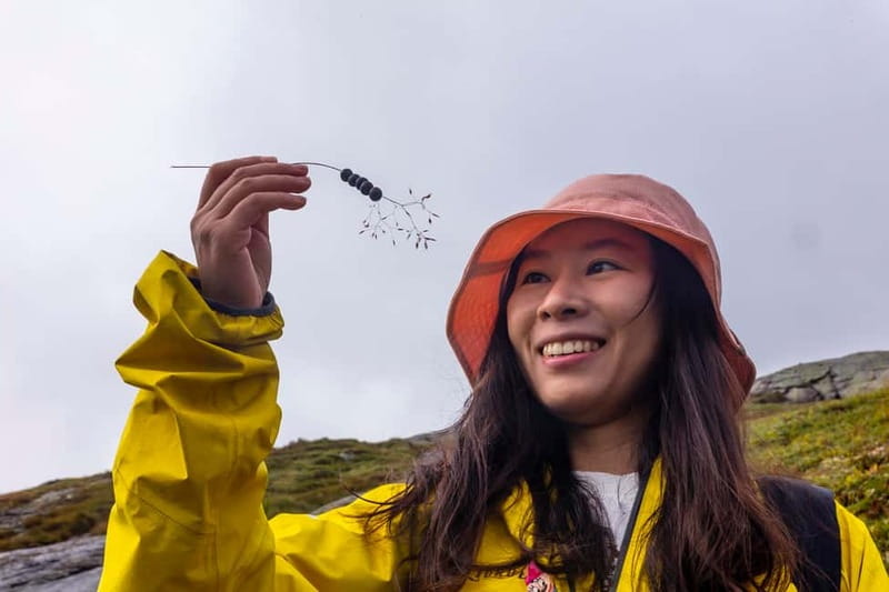 Stavanger: Kjerag Summer Hike with Packed Lunch - Why the early start matters at Kjerag