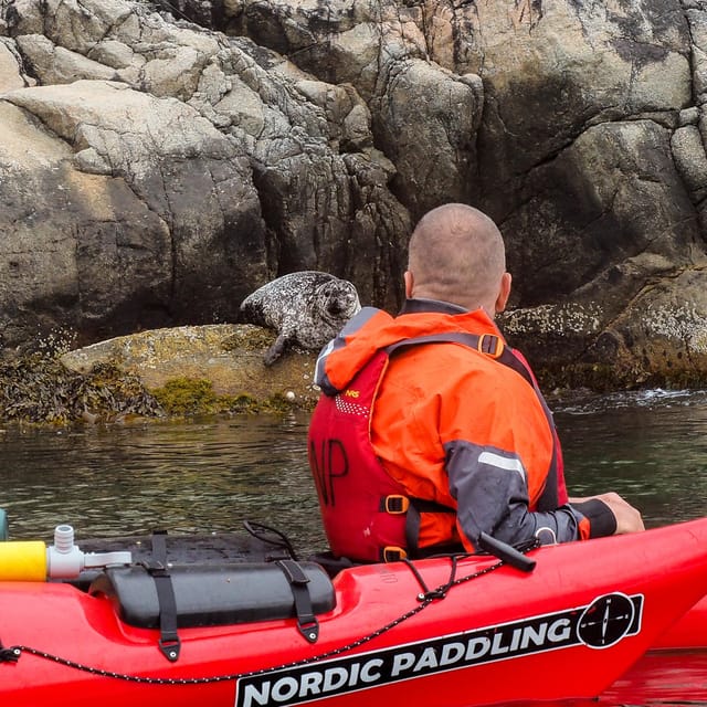 Stavanger: Lysefjord Kayak Safari (Waterfalls & Pulpit Rock) - Lunch with Preikestolen in view