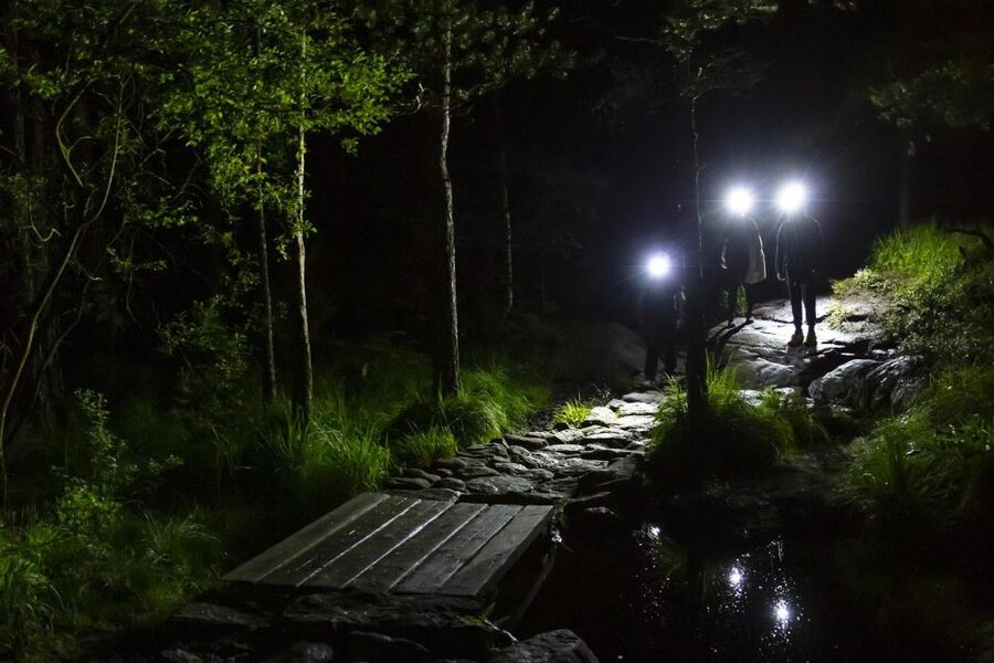 Stavanger: Preikestolen Sunrise Hike with Breakfast Buffet - Is the $253 price fair?