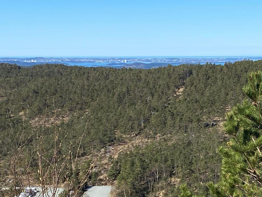 Stavanger: Preikestolen Tour with Guide and Pickup - Who will get the most from this outing