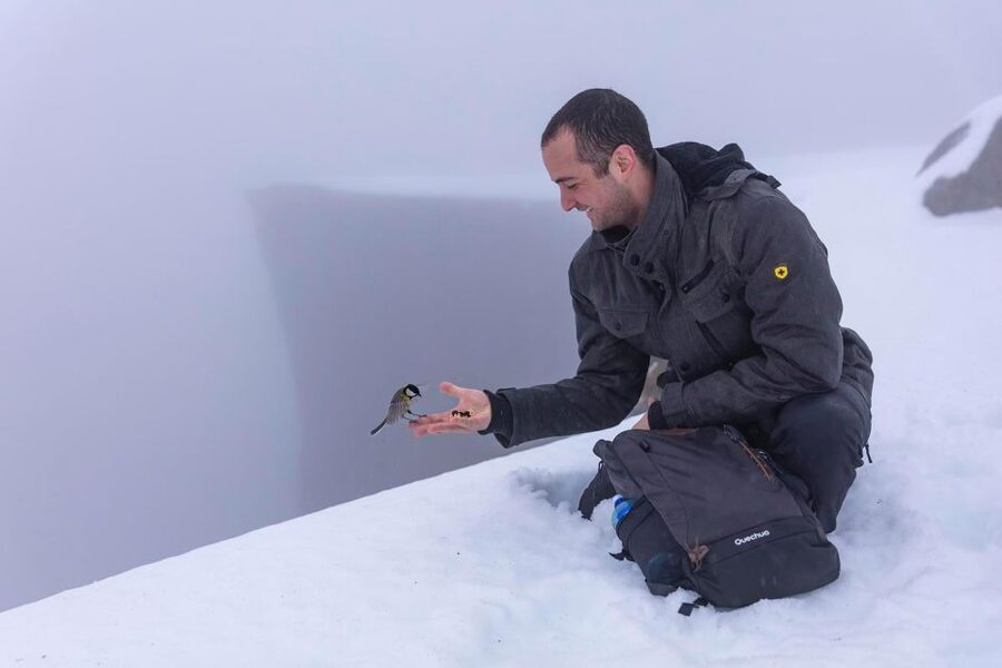 Stavanger: Preikestolen Winter Hike + Hot Lunch - Key points at a glance