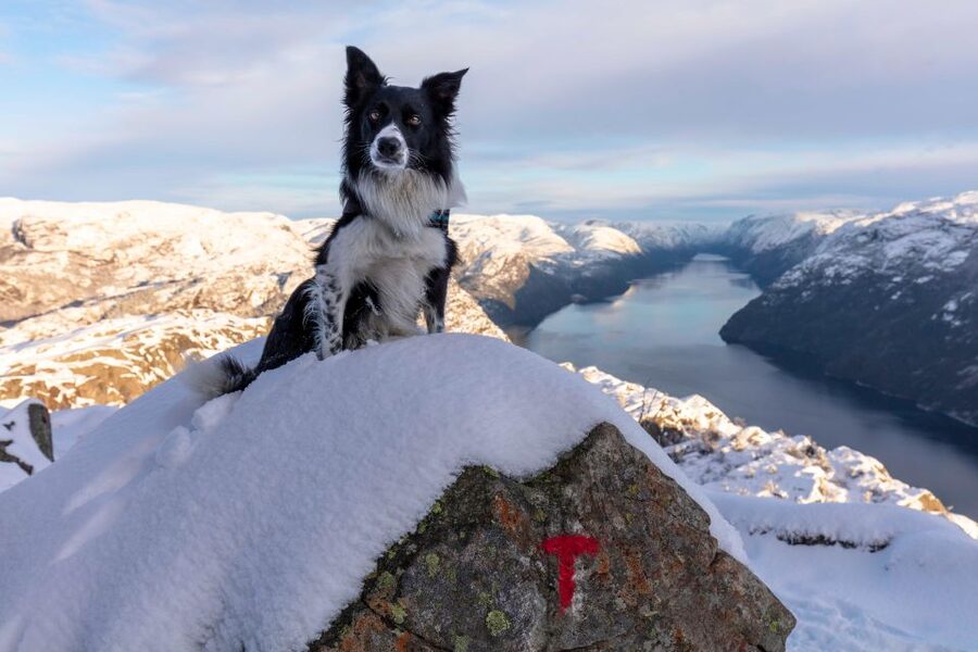 Stavanger: Preikestolen Winter Hike + Hot Lunch - Why Preikestolen is worth the winter effort