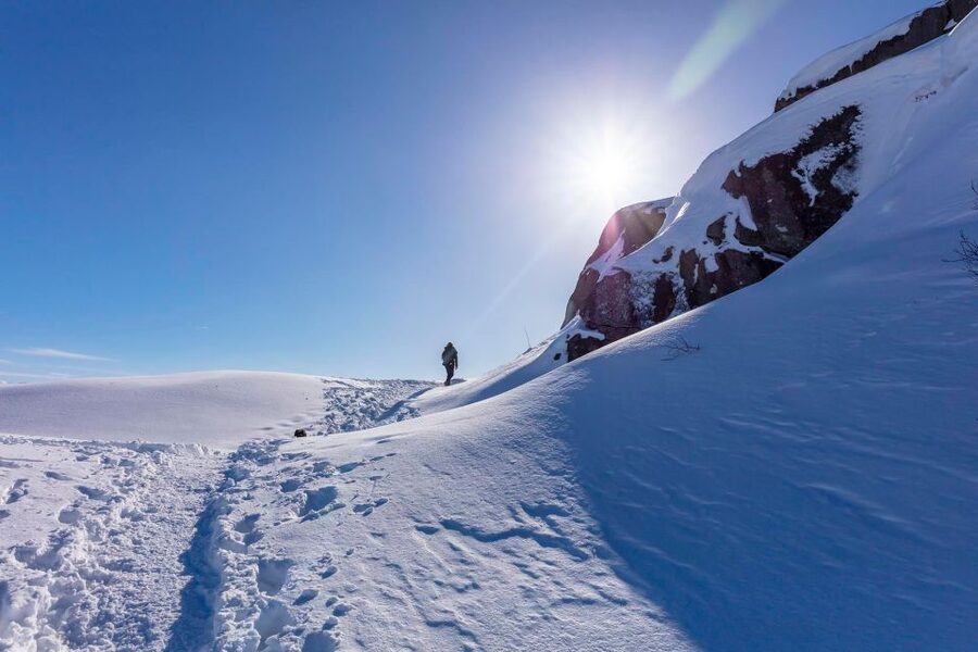 Stavanger: Preikestolen Winter Hike + Hot Lunch - What the guide adds to the day