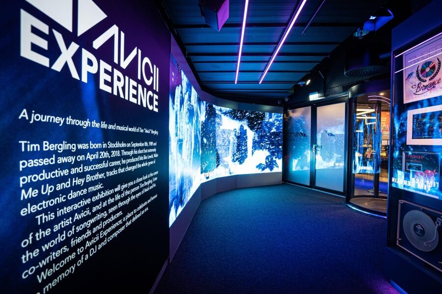 Stockholm: Avicii Experience Skip-the-Line Entrance Ticket - The difficult side of fame