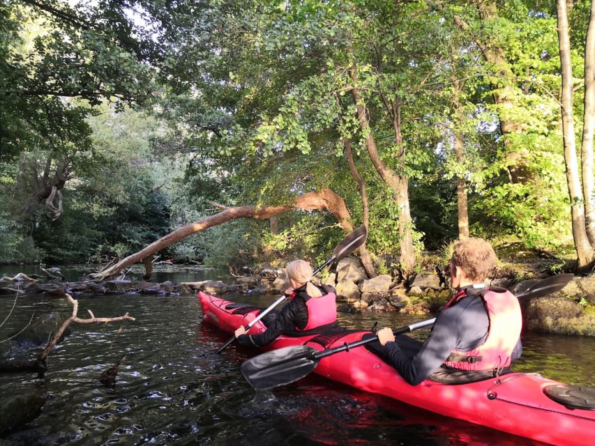 Stockholm Evening Kayak with BBQ. - Timing, meeting point, and cancellation details