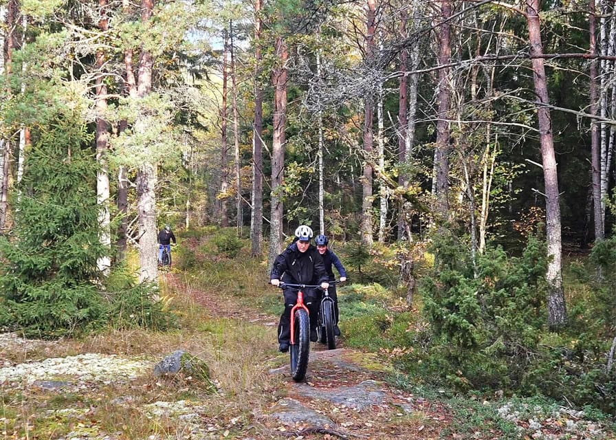 Stockholm: Fat Bike Forest Adventure with Lunch and Sauna - What the $138 price includes