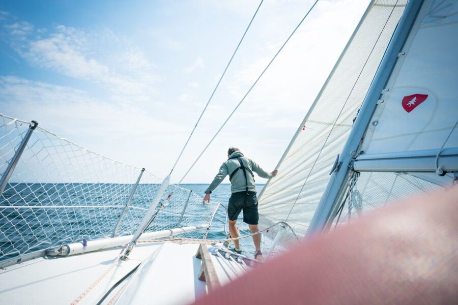 Stockholm: Full Day Archipelago Sailing Tour with Lunch - Wildlife along the route