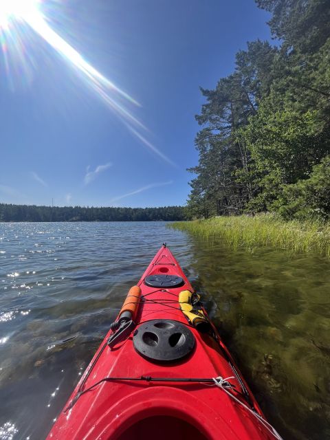 Stockholm: Morning Kayak Tour in the Archipelago with Lunch - Swedish fika before the drive back