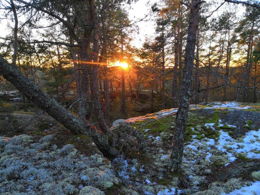 Stockholm: Nature Hike with Campfire Lunch - Who will enjoy this Stockholm outing