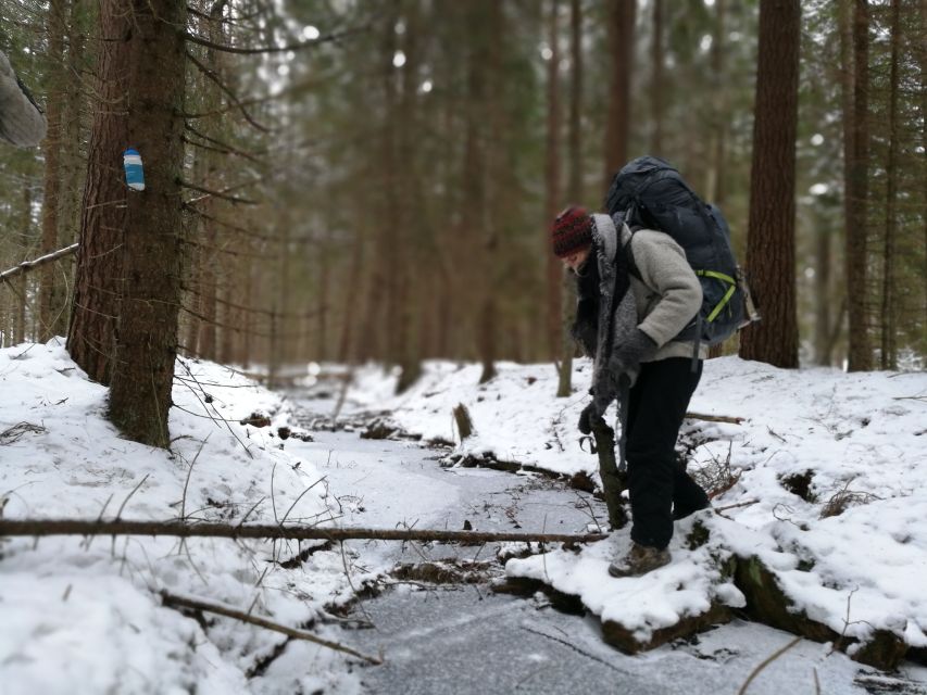 Stockholm: Nature Hike with Campfire Lunch - Walking through snow, trees, and Swedish stories
