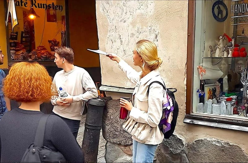 Stockholm: Old Town Walking Tour with Local Guide - Gamla Stan, the German Church, and the first medieval views