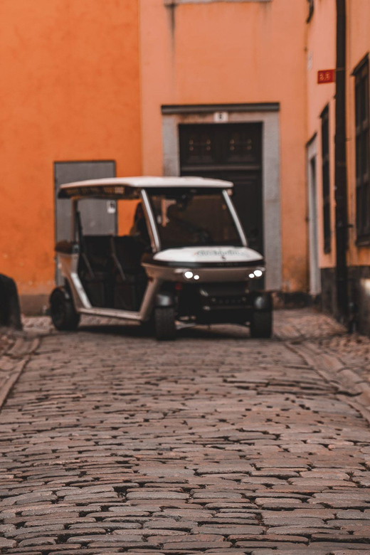 Stockholm Private Golf Cart Tours - The waterfront route and Stockholm’s cultural islands