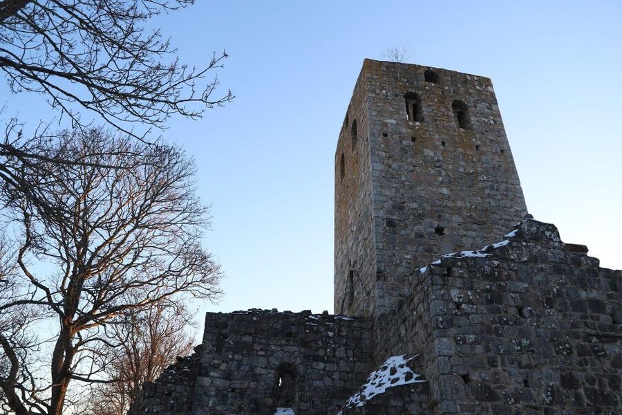 Stockholm: Sigtuna and Uppsala Viking History Day Tour - A Viking day that reaches well beyond Stockholm