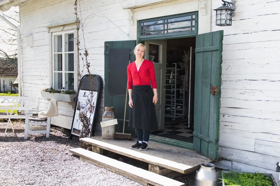 Stockholm: Sigtuna and Uppsala Viking History Day Tour - What the $255 price gives you