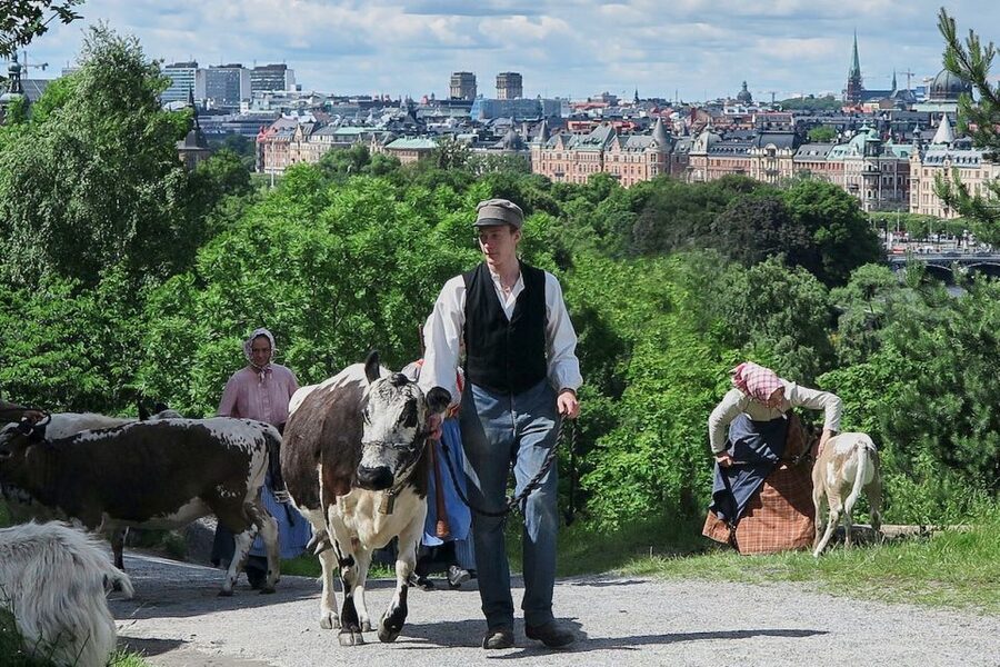 Stockholm: Skansen Open-Air Museum Admission Ticket - Walking through houses and farmsteads from old Sweden