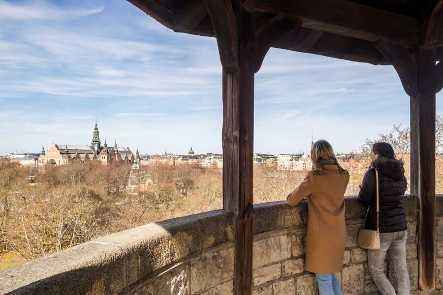Stockholm: Skansen Open-Air Museum Admission Ticket - Food, views, and the museum shop