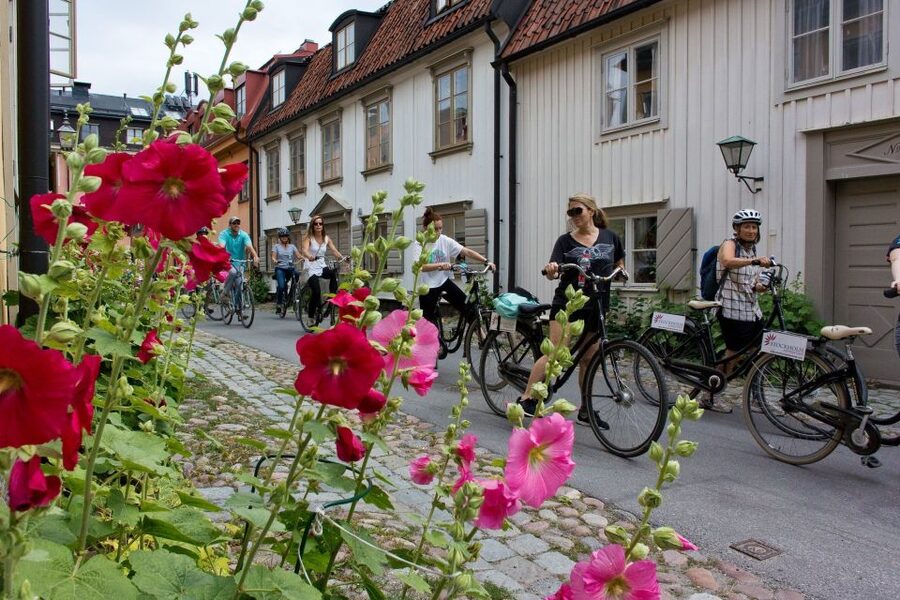 Stockholm: Södermalm E-Bike Tour - Riding through SoFo’s changing streets