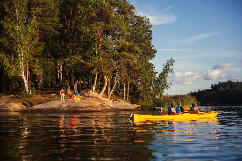 Stockholm: Sunset Archipelago Kayaking & Toast on the Water - Wildlife watching beside the reeds