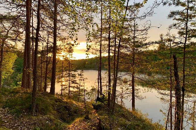 Stockholm: Sunset Hike in Tyresta National Park with Meal - Key points to know before you book