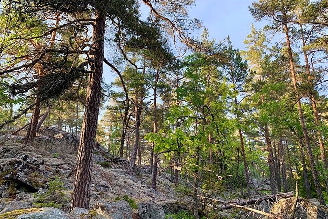Stockholm: Sunset Hike in Tyresta National Park with Meal - Dusk, wildlife, and the move into darkness