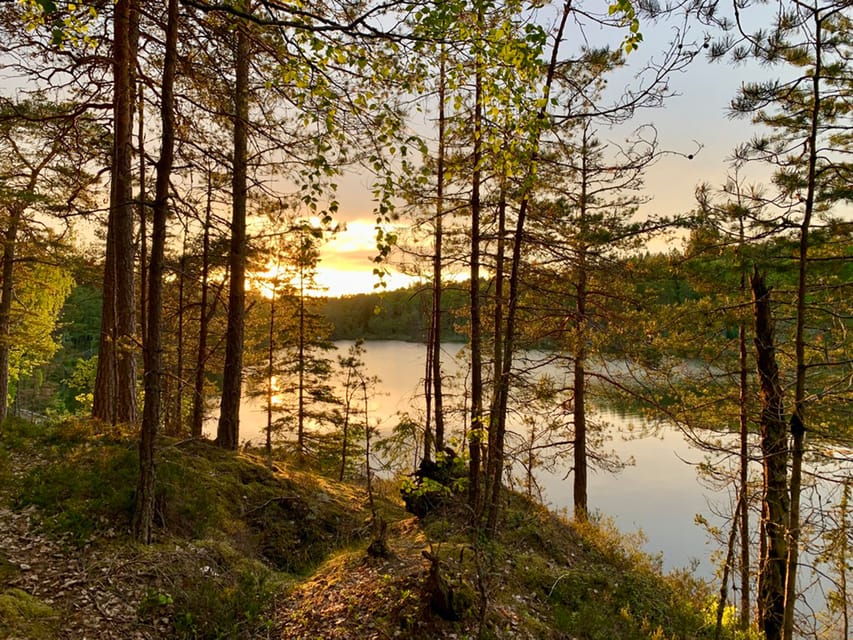 Stockholm: Sunset Hike in Tyresta National Park with Meal - The lakeside meal and Swedish fika