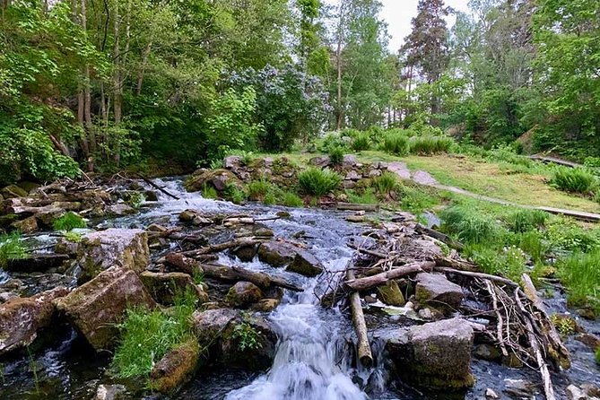 Stockholm: Sunset Hike in Tyresta National Park with Meal - A 1.5-hour walk through ancient forest
