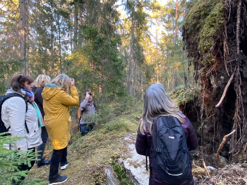Stockholm: Wildlife Safari - What to bring and how to prepare