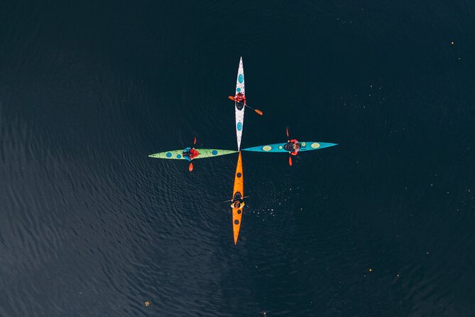 Stockholm: Winter Kayaking, Swedish Fika and hot Sauna Experience - Why winter kayaking works so well in Stockholm