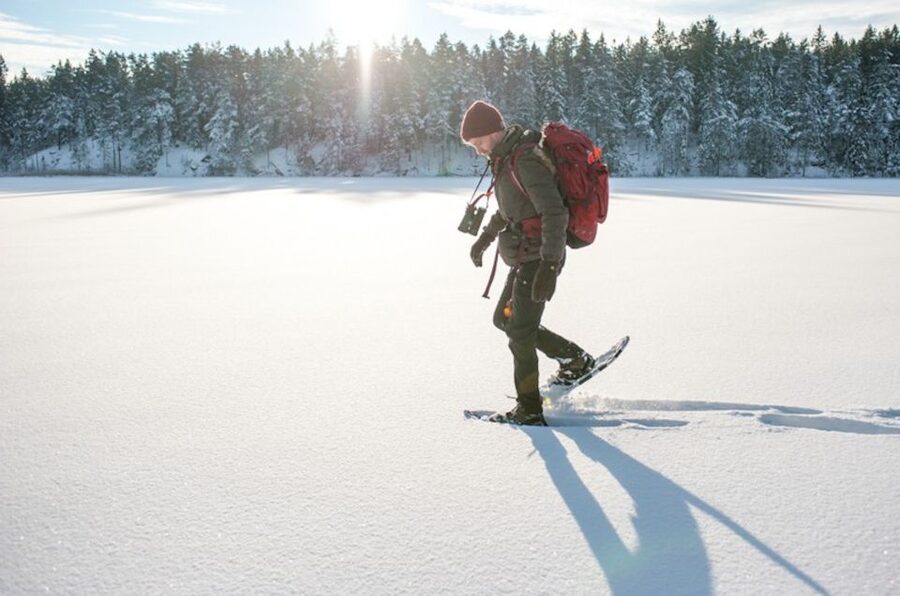 Stockholm: Winter Snowshoe Full-Day Hike - Who should book this Stockholm winter hike?