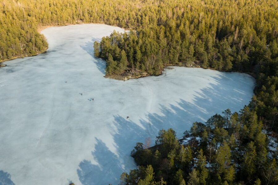 Stockholm: Winter Snowshoe Full-Day Hike - A full winter day just outside Stockholm