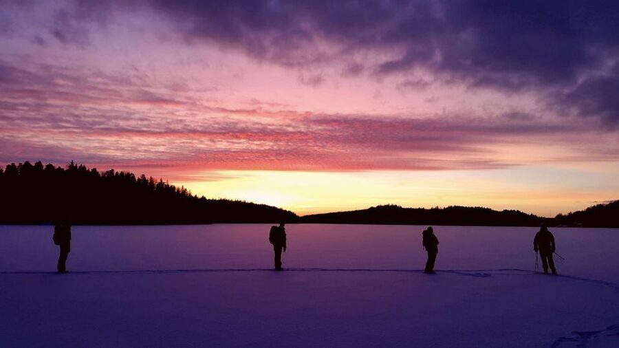 Stockholm: Winter Snowshoe Full-Day Hike - Snow-covered forest, animal tracks, and frozen lakes