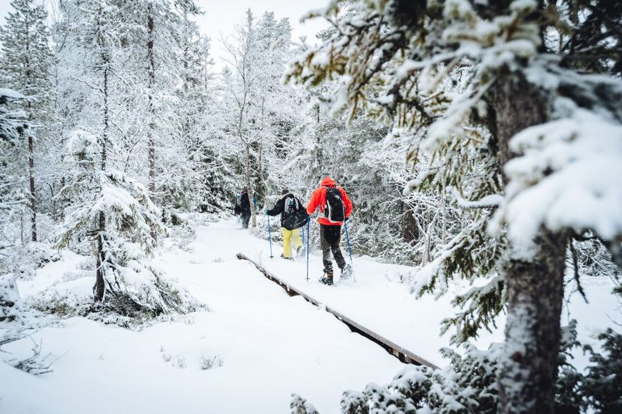 Stockholm: Winter Snowshoe Full-Day Hike - A campfire lunch that breaks up the hike