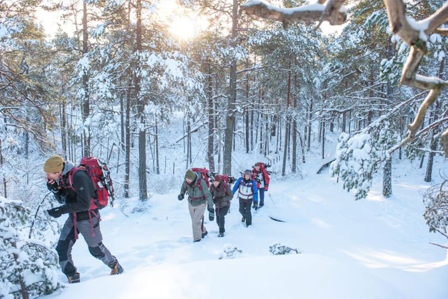 Stockholm: Winter Snowshoe Full-Day Hike - Getting to the meeting point in Södermalm