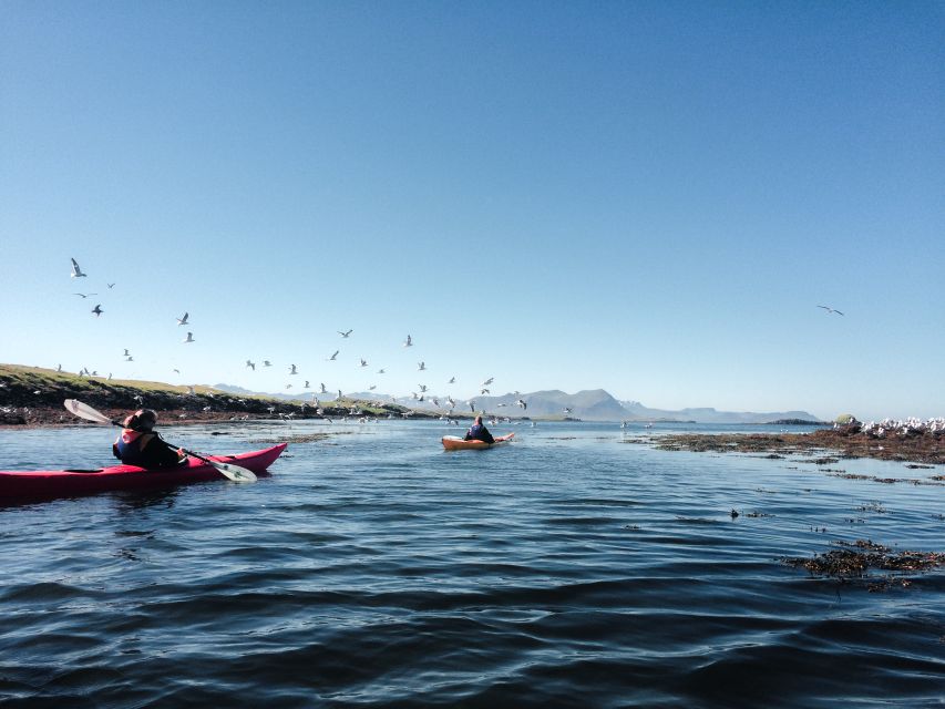 Stykkishólmur: 2-Hour Sea Kayak Tour - Landey and the story of eiderdown