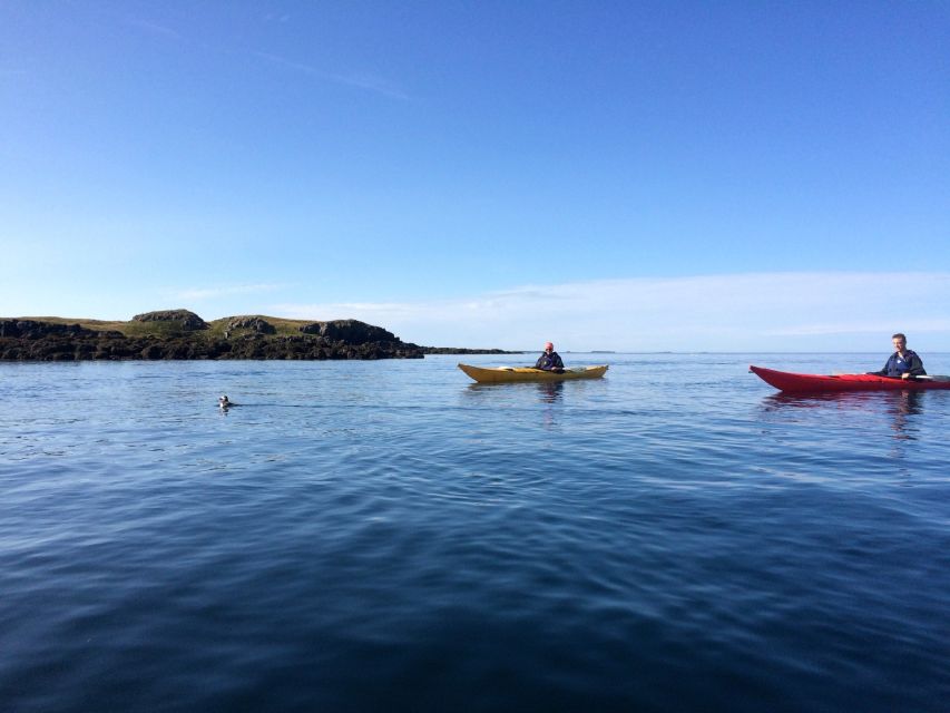 Stykkishólmur: 2-Hour Sea Kayak Tour - Birds, islands, and views toward volcanoes
