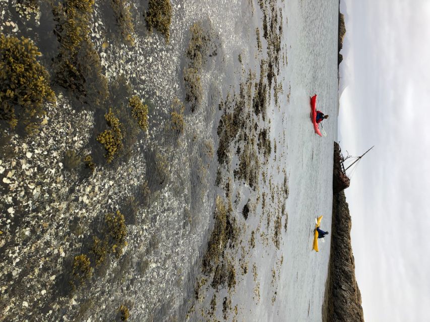 Stykkishólmur: 2-Hour Sea Kayak Tour - Booking details that matter