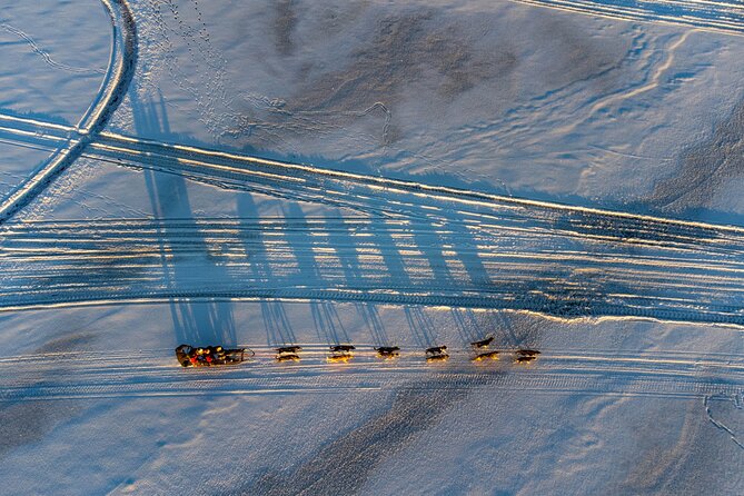 Sunrise Zen Husky Tour (10:00 to 13:00 - sitting on the sled) - From hotel pickup to the first run