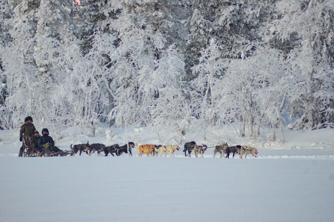 Sunrise Zen Husky Tour (10:00 to 13:00 - sitting on the sled) - Photo stops and the limits of filming
