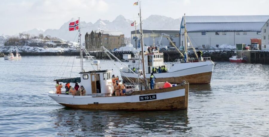 Svolvær: Fishing Trip on the Lofoten Sea - What makes this fishing trip worth your time