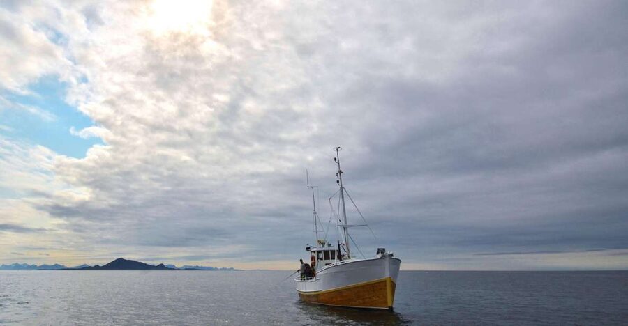Svolvær: Fishing Trip on the Lofoten Sea - Meeting MS Luna in Svolvær