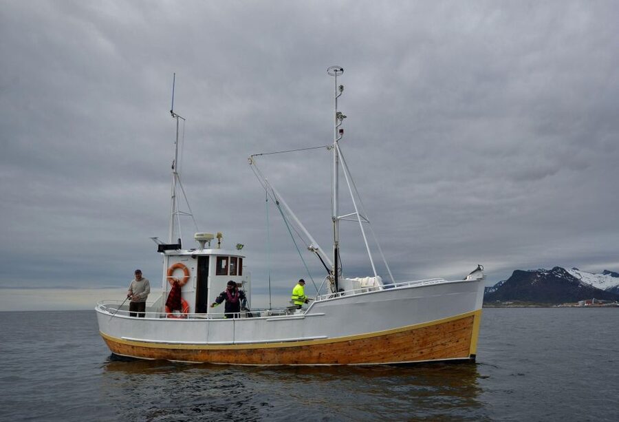 Svolvær: Fishing Trip on the Lofoten Sea - Fishing the Lofoten Sea for three hours