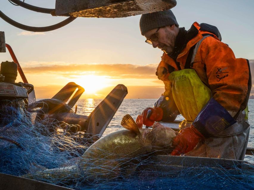 Svolvær: Fishing Trip on the Lofoten Sea - Mountain views, sea birds, and possible wildlife
