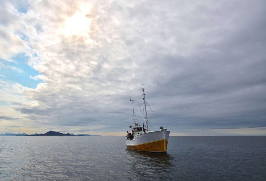 Svolvær: Fishing Trip on the Lofoten Sea - The first minutes: safety, clothing, and basic technique